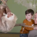 Zool�gico de Nova York: encontro incr�vel com animais selvagens sem barreiras