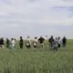 Giro Abitrigo aproxima moinhos do trigo do Cerrado Mineiro