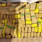 Carro batido abandonado escondia mais de meia tonelada de maconha