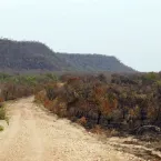 Menos florestas deixa Brasil mais frágil às mudanças climáticas