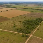 Governo cria dois assentamentos em Campos dos Goytacazes e beneficia 95 famílias