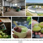 Programa estadual fortalece economia de cidades do interior