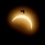 Eclipse solar vira meme e rende piadas nas redes sociais; veja