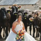 Noiva chega ao casamento montada em sua melhor amiga: uma vaca