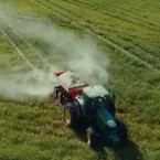 Solo f�rtil garante pasto na seca
