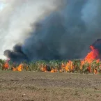 Focos de calor em terras ind�genas preocupam Mato Grosso