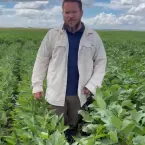 Startup de Mato Grosso cria soja resistente � seca e a nematoides