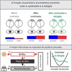 Telas não são as grandes vilãs: um novo olhar sobre a miopia