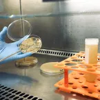 Chamada para projetos de bioinsumos recebe inscrições até 31 de agosto