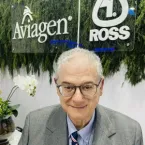Ross 308 AP completa 15 anos como principal gen�tica da avicultura brasileira