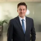 Ross 308 AP completa 15 anos como principal gen�tica da avicultura brasileira