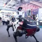 Robôs podem ser o futuro dos parques de diversões?