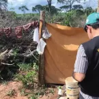 Polícia e Ministério do Trabalho libertam 479 pessoas da escravidão no Brasil