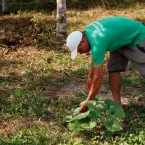 Prefeituras do sul da Bahia disputam projeto para garantir comida mais saud�vel e ecologicamente correta nas escolas