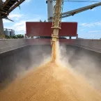 Fazenda de SP permite cr�dito de imposto na soja e evita perda para produtores