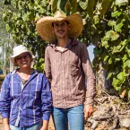 Programa gratuito ajuda pequenos pecuaristas de Mato Grosso a produzir mais e ganhar mais