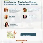 Encontro debate caminho para aumentar produ��o de trigo em S�o Paulo