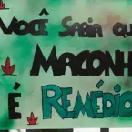 Regras sobre cannabis medicinal no Brasil deixam Associações de Pacientes na dúvida