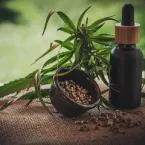 Regras sobre cannabis medicinal no Brasil deixam Associações de Pacientes na dúvida