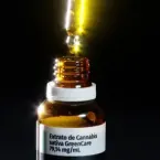 Regras sobre cannabis medicinal no Brasil deixam Associações de Pacientes na dúvida