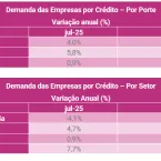 Empresas Brasileiras Buscam Crédito em Alta e Sofrem com Juros Altos