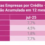 Empresas Brasileiras Buscam Crédito em Alta e Sofrem com Juros Altos