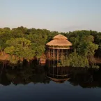 Dormir na floresta: experi�ncia �nica na Amaz�nia