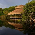 Dormir na floresta: experi�ncia �nica na Amaz�nia