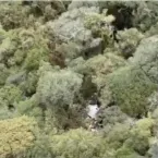Destroços do helicóptero do cantor Rick são encontrados em serra catarinense