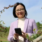 Inteligência Artificial Ensina Agricultores a Colher Frutas no Momento Perfeito