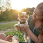 Brincar com pets ajuda na inteligência e empatia das crianças, diz estudo