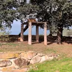 Tigre que matou homem é fotografado no parque reaberto