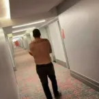 Pai b�bado rouba flamingo famoso em Las Vegas e vai a julgamento