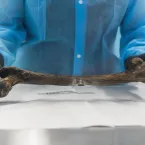 Tecnologia de DNA e IA resolvem homicídio de 33 anos nos EUA