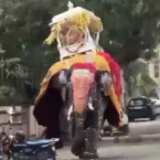 Bicho misterioso assusta moradores no México: veja o que é