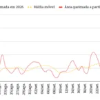 Incêndios na Amazônia explodem após 1º turno das eleições, aponta Greenpeace