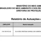 Incêndios na Amazônia explodem após 1º turno das eleições, aponta Greenpeace