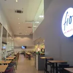Goiânia: veja 5 lugares para passear com seu pet