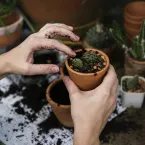 Guia Prático Ensina a Criar Jardins Profissionais com Ciência e Saúde