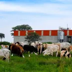 ETASA abre 40 vagas para curso técnico gratuito em Agropecuária