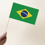Reações brasileiras às eleições: estudo revela surpresa, tristeza e alegria nas redes