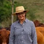 Leilão de touros Bonsmara vende todos os animais e fatura alto