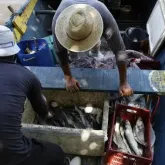 INSS paga R$ 874 milh�es a pescadores a partir desta ter�a-feira (7)