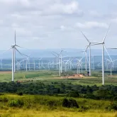 Brasil se Destaca na Produ��o de Energia Renov�vel