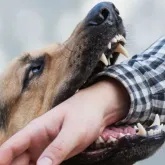 Idoso � atacado a fac�o ap�s briga por causa de cachorro