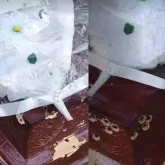 Caix�o � alvo de tiros em enterro e fam�lia enterra corpo antes de nova per�cia
