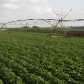 Startup usa tecnologia para prever falta de �gua no campo