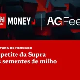 Supra quer ser uma das maiores em sementes de milho
