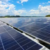 Pr�mio SP Carbono Zero: inscri��es terminam em 3 de julho