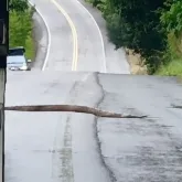 Motoristas param na BR-101 para ajudar jiboia a atravessar a pista no sul da Bahia